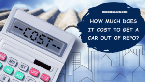 How Much Does it Cost to Get a Car Out of Repo