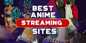 Top 25 Best Anime Streaming Websites for FREE (HD/4K)