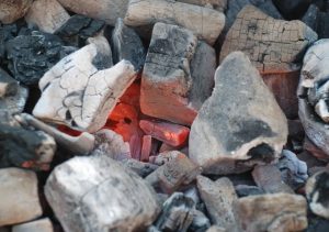 Alsultancoal Elevating Your Experience Among Charcoal Suppliers in Dubai