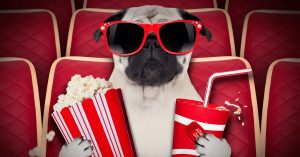 How to Access AA Inflight Entertainment to Watch Movies