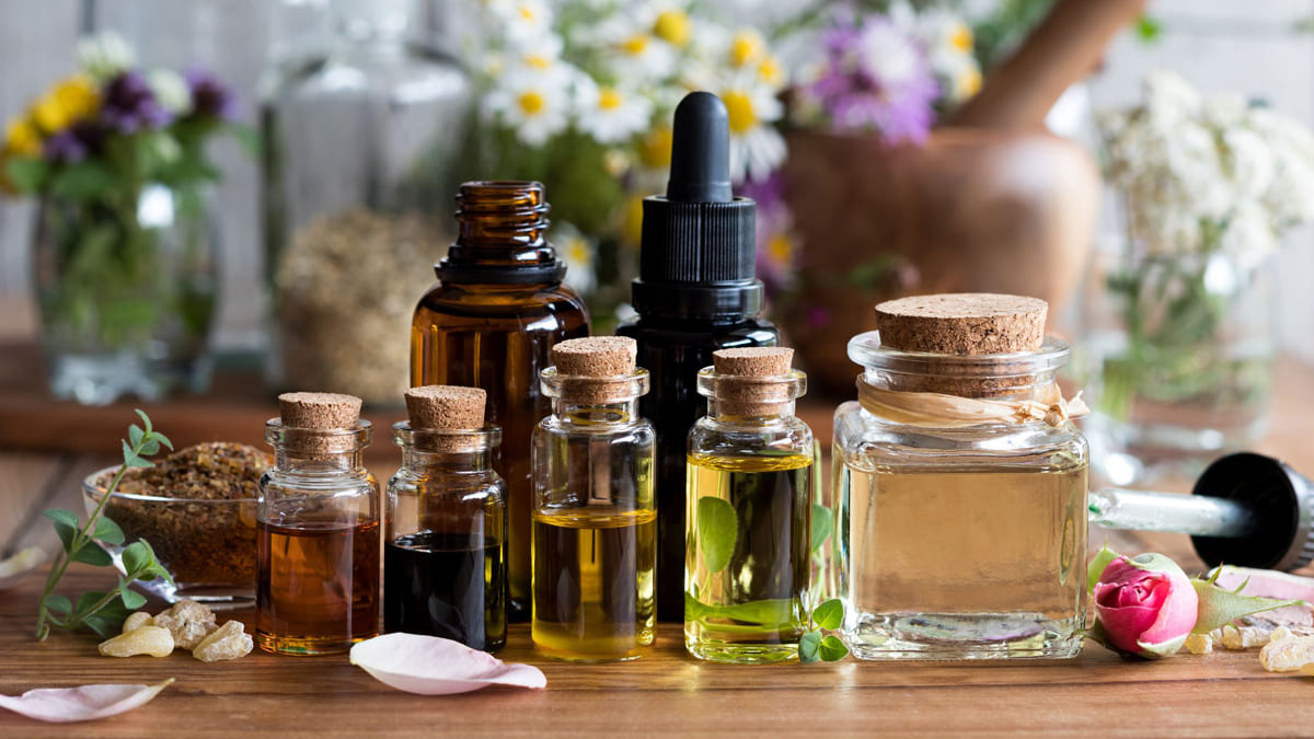 Unveiling the Essence: Everything is About Revive EO