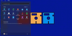 Windows 11 Themes and Skins to Download For FREE