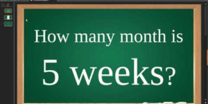 how many months have 5 weeks