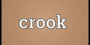 bunch-of-crooks/bunch of crooks meaning in hindibunch-of-crooks/