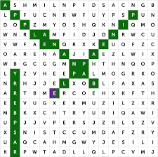 Creating Your Own Word Search Puzzles